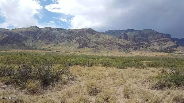 San Simon, AZ 85632,37 Acres Blacktail Road #-