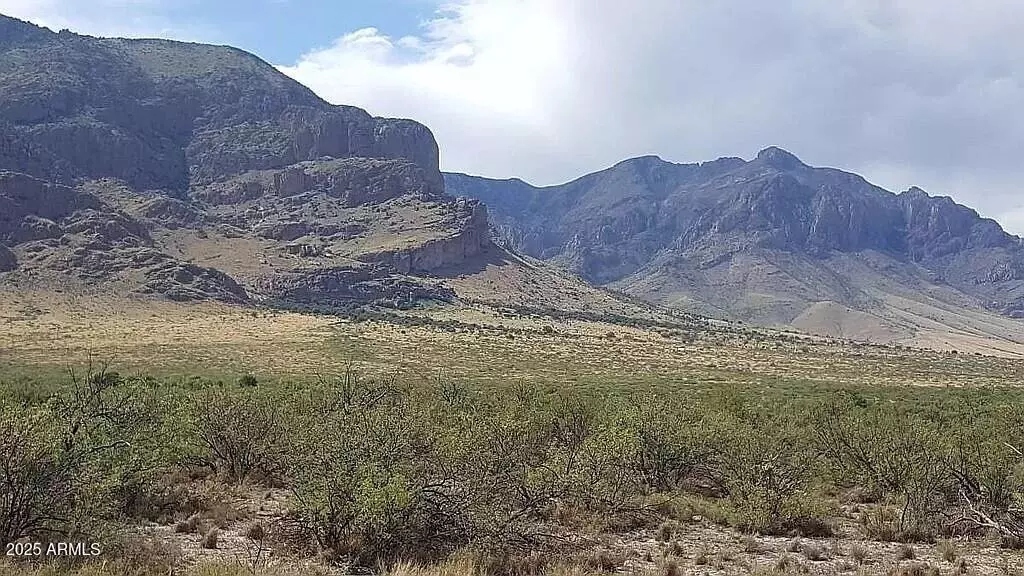 37 Acres Blacktail Road #-, San Simon, AZ 85632