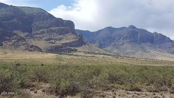 37 Acres Blacktail Road #-, San Simon, AZ 85632