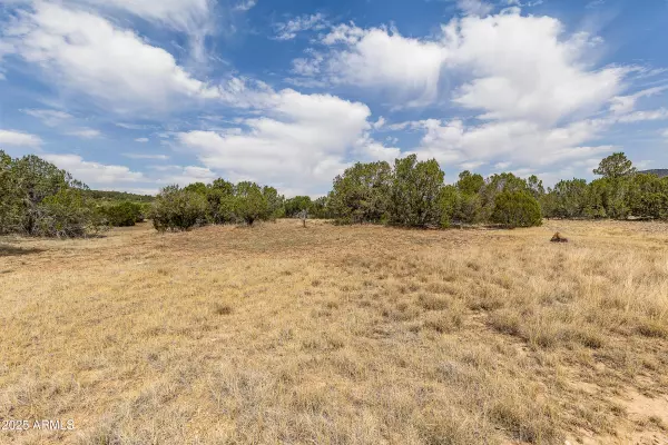 Williams, AZ 86046,8359 N 8 MILE Boulevard #6