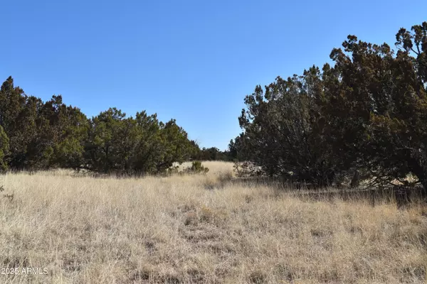 Concho, AZ 85924,0 Stanford Road #-