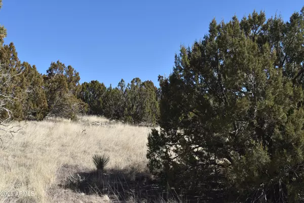 Concho, AZ 85924,0 Stanford Road #-
