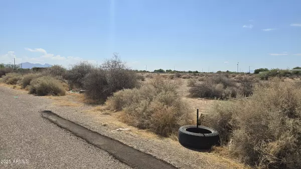 Eloy, AZ 85131,58 W Gun Fury Road #81