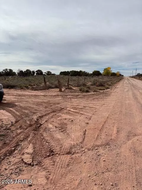 Snowflake, AZ 85937,9049 OLD SCHOOL BUS Trail #-