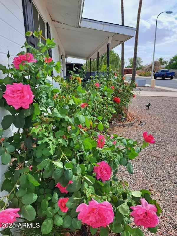 Mesa, AZ 85205,639 N 57TH Place