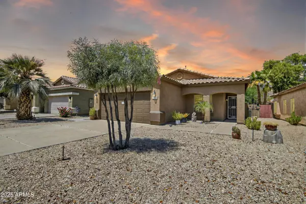 San Tan Valley, AZ 85143,830 E TORTOISE Trail
