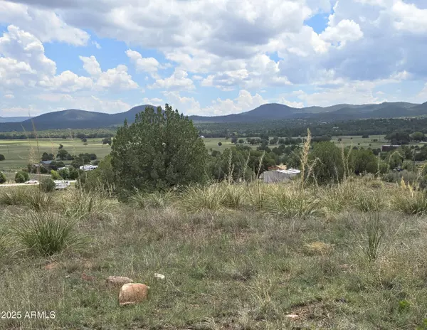 Young, AZ 85554,410 S ROLLING HILL Road #1&2