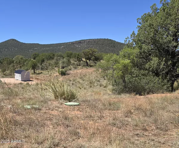 Young, AZ 85554,410 S ROLLING HILL Road #1&2