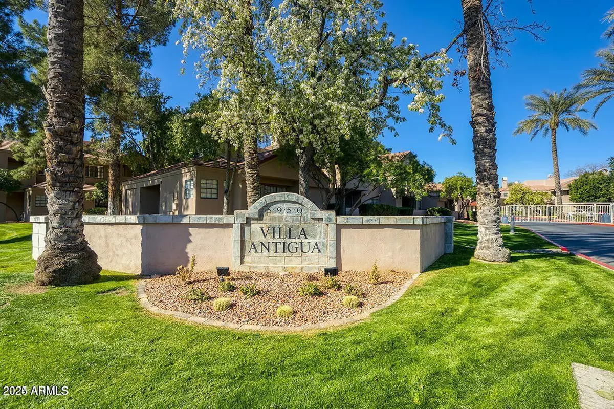 Scottsdale, AZ 85250,5950 N 78TH Street #248