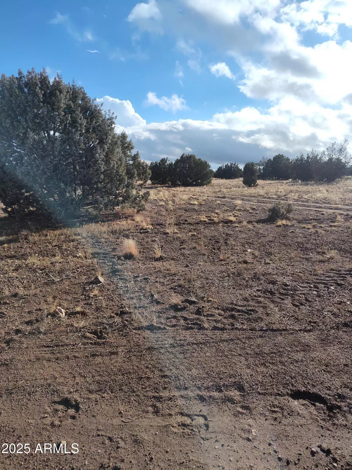 Seligman, AZ 86337,0 N Deliverace -- #453