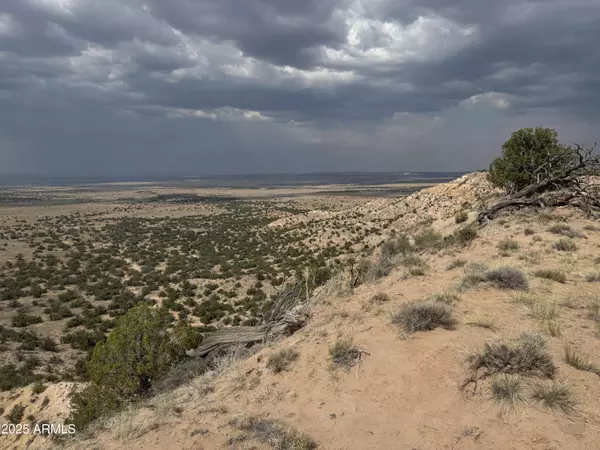 St Johns, AZ 85936,14 42.25 acres TBD -- #014