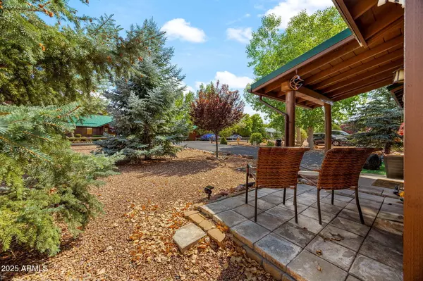 Overgaard, AZ 85933,2344 BUFFALO Loop N