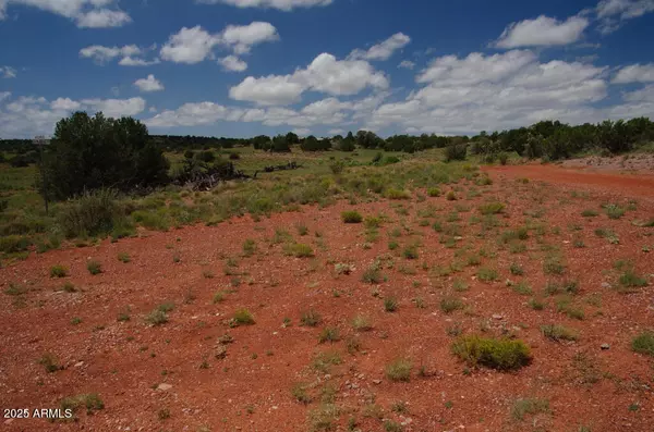 Seligman, AZ 86337,58800 N VIDRIO Road #5353