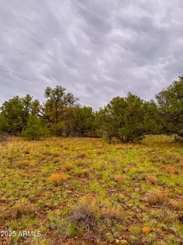 Williams, AZ 86046,134 E SNOWDRIFT Road #452