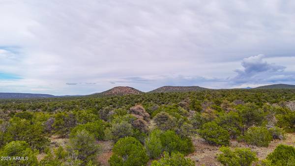 Williams, AZ 86046,134 E SNOWDRIFT Road #452