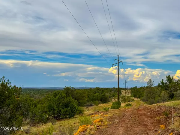 Williams, AZ 86046,134 E SNOWDRIFT Road #452