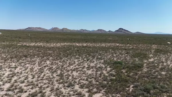 Douglas, AZ 85607,113 Valley Springs -- #113