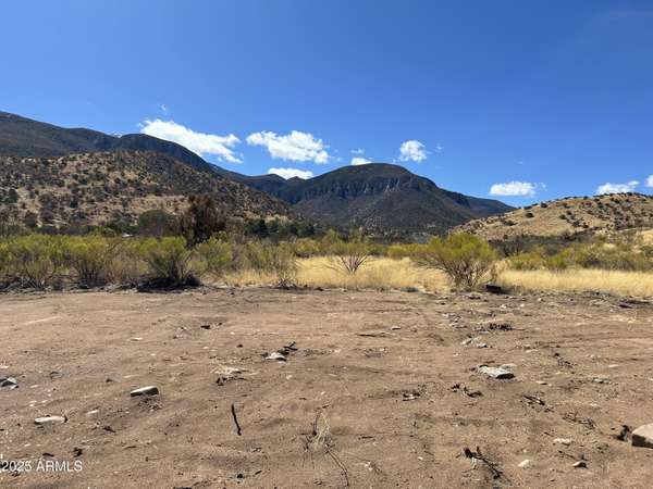 Hereford, AZ 85615,Carr Canyon Rd -- #4