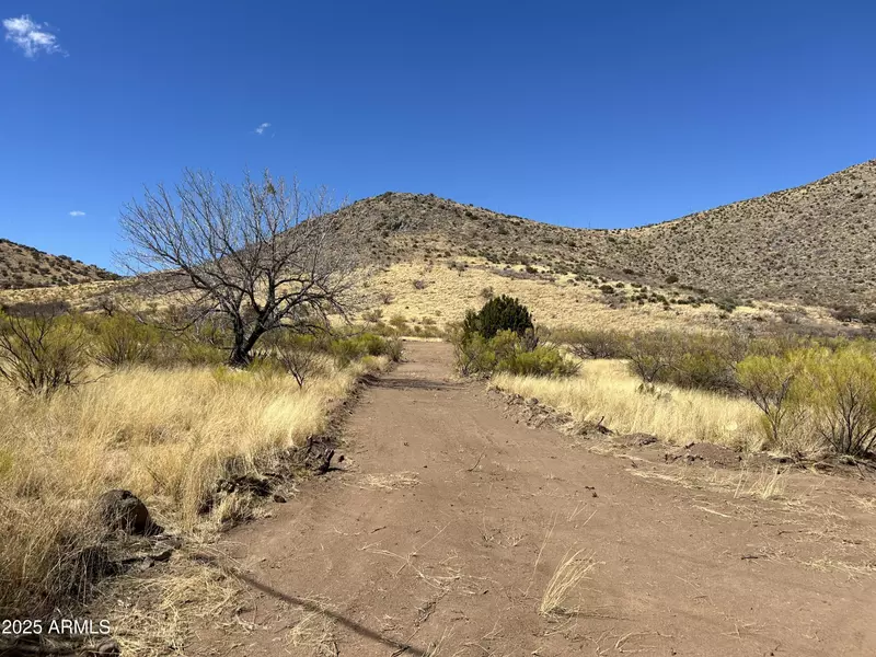 Carr Canyon Rd -- #4, Hereford, AZ 85615