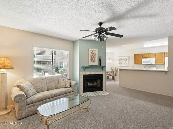 Mesa, AZ 85205,5230 E BROWN Road #116