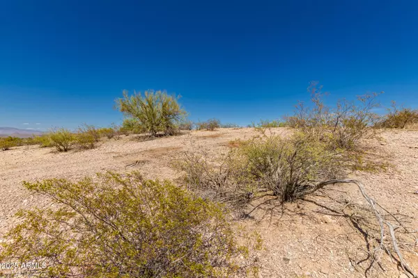 Wickenburg, AZ 85390,455 N Ironwood Place #24