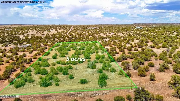 Show Low, AZ 85901,0 Weber Rd Lot A 5 Acres -- #-