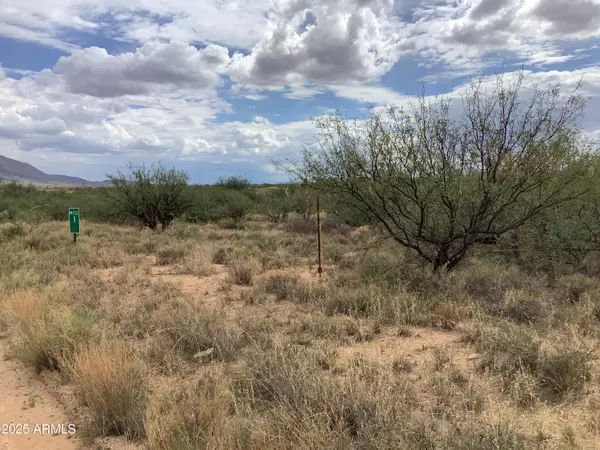 Dragoon, AZ 85609,400 N Johnson Road #-