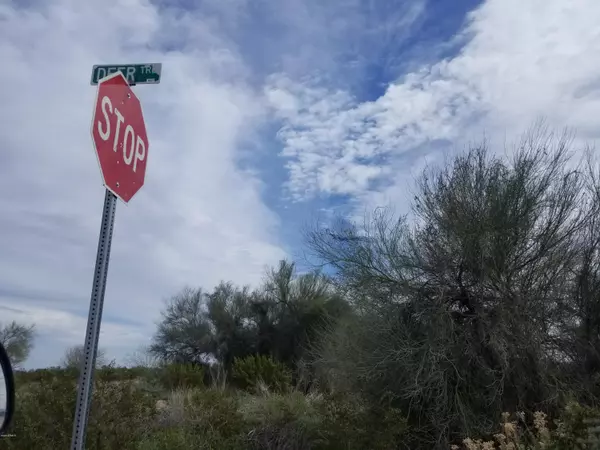 Maricopa, AZ 85139,0 W Val Vista Road #-