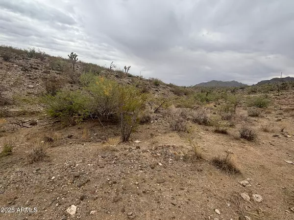 Dolan Springs, AZ 86441,0 N Mohave Drive #48