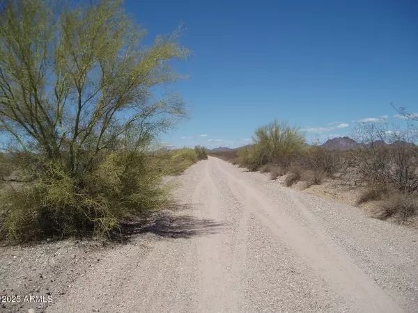 Unincorporated County, AZ 85390,33200 N 347th Avenue #208