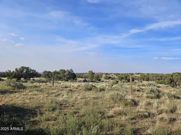 Concho, AZ 85924,110 N COUNTY ROAD N5578 --
