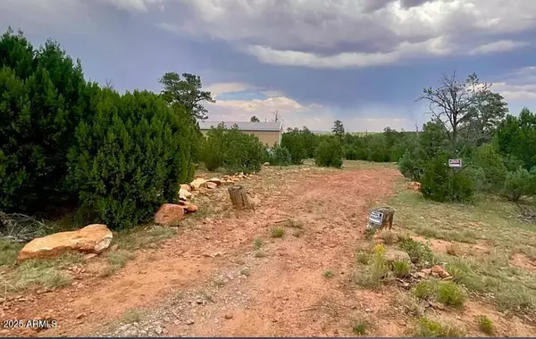 Happy Jack, AZ 86024,8670 HAVEN CREST Drive #227
