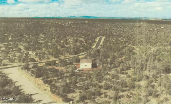 Happy Jack, AZ 86024,8670 HAVEN CREST Drive #227