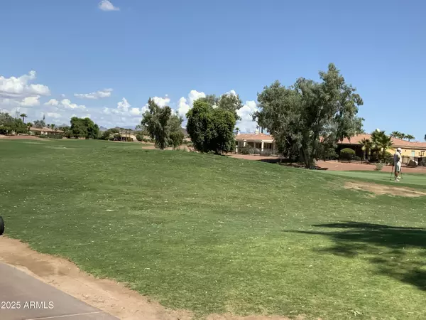 Sun City West, AZ 85375,13414 W MICHELTORENA Drive