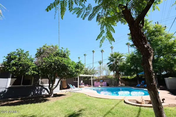 Scottsdale, AZ 85257,6931 E ALMERIA Road
