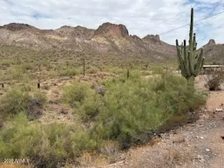 Apache Junction, AZ 85120,1575 W MCDOWELL Boulevard #-