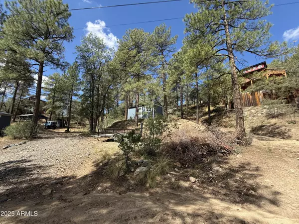 Crown King, AZ 86343,23496 S MANZANITA Road #26, 24