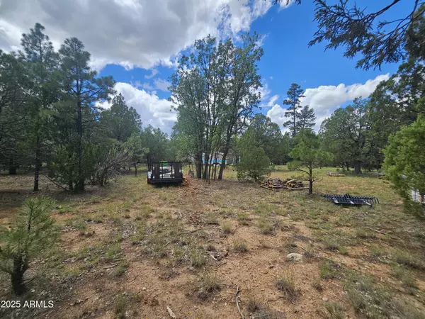 Happy Jack, AZ 86024,1761 Valley View Drive #139