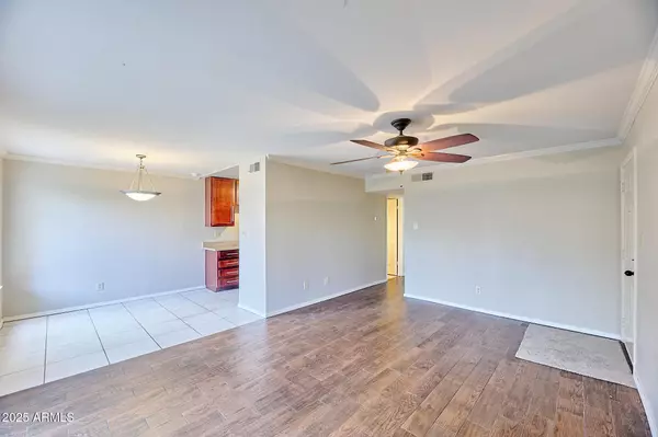 Scottsdale, AZ 85251,3500 N HAYDEN Road #607