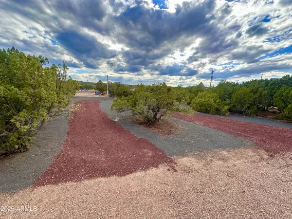 Show Low, AZ 85901,1826 HOWARD Place #157