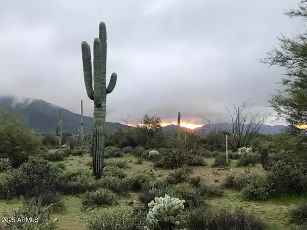39005 N CRESTED QUAIL Run #18, Carefree, AZ 85377