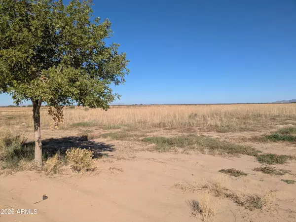 Casa Grande, AZ 85193,9515 S RUSSELL Road #-