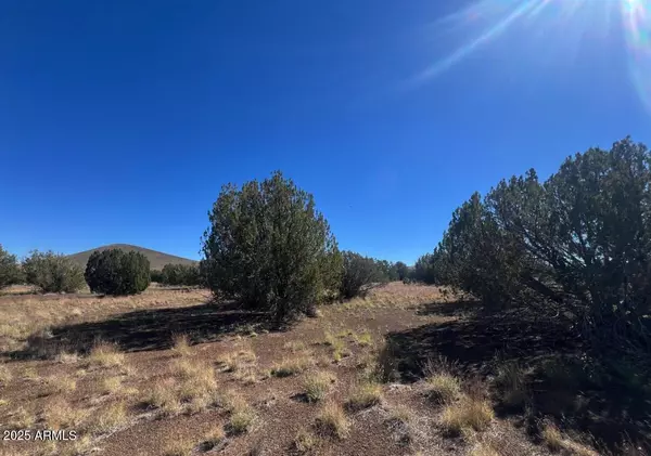 Flagstaff, AZ 86004,6 LEUPP Road #-