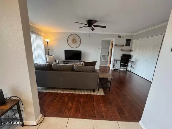 Scottsdale, AZ 85251,3500 N HAYDEN Road #1403