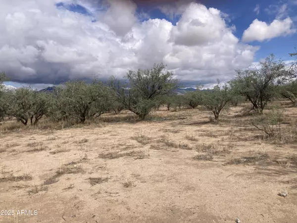 Huachuca City, AZ 85616,446 W OAK Street #5