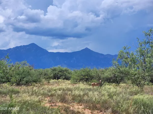 Hereford, AZ 85615,Mellak Road #C