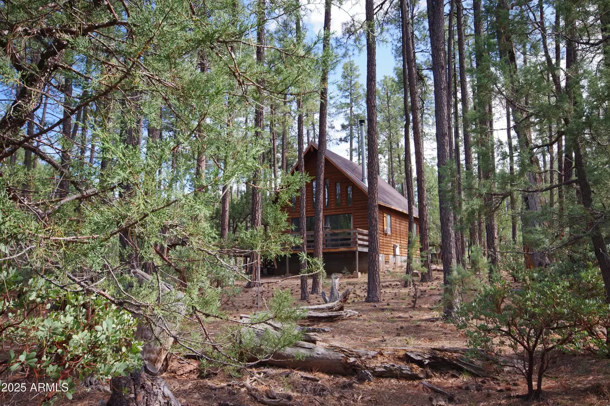 Payson, AZ 85541,1007 W Old Pine Trail