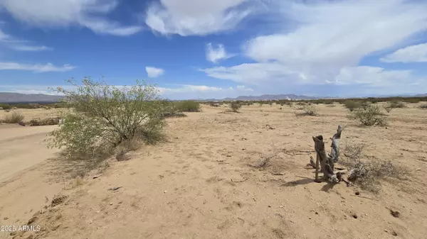 Aguila, AZ 85320,492 N 529th  Lot 2 Avenue #-