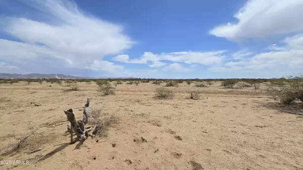 Aguila, AZ 85320,492 N 529th  Lot 2 Avenue #-