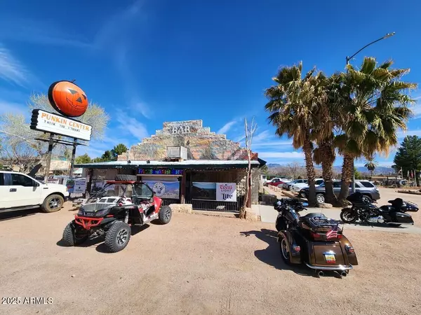 Tonto Basin, AZ 85553,249 S OLD HIGHWAY 188 --